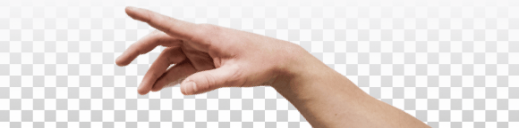 Export (4).png