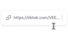 Paste a video URL.png